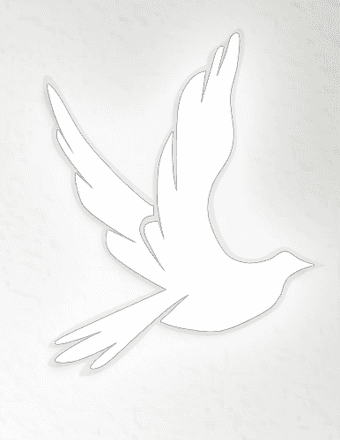 Iris Icelda Juarez-Lopez Obituary